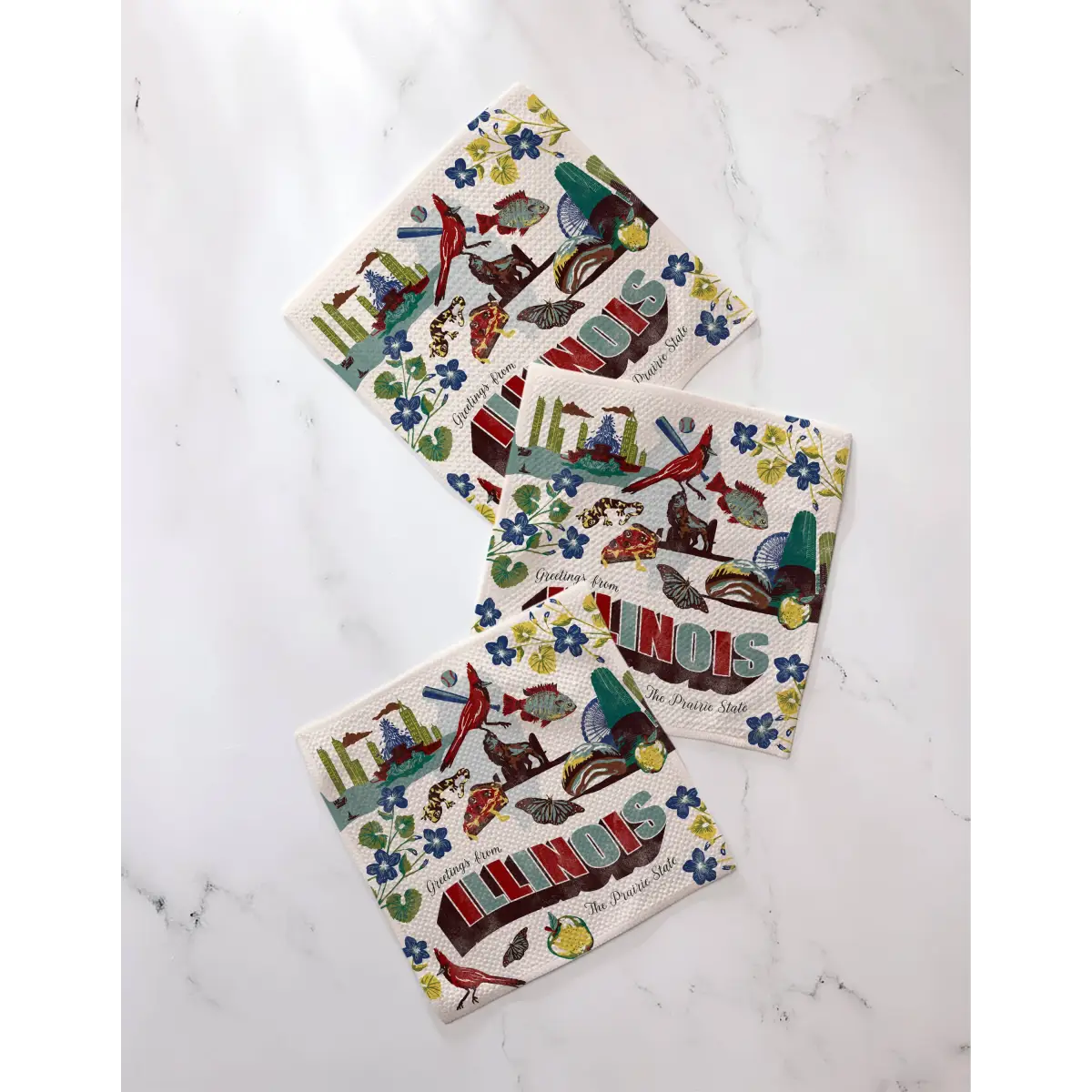 Dishcloth Set - Greetings from Illinois - Geometry
