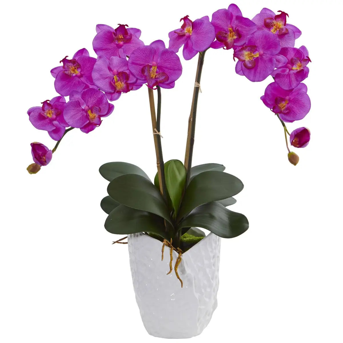 Double Phalaenopsis Orchid in White Vase - Orchid - Nearly Natural