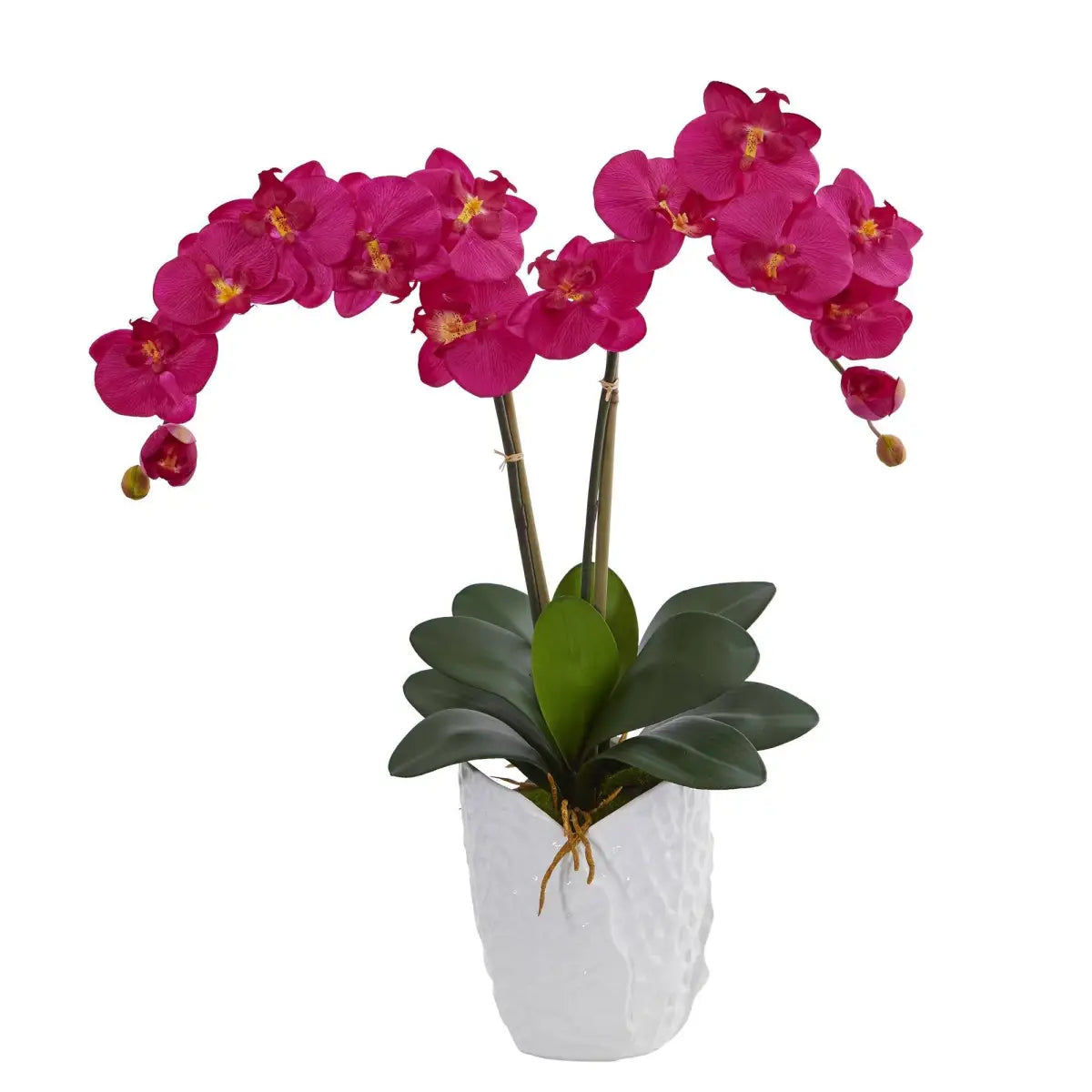 Double Phalaenopsis Orchid in White Vase - Beauty - Nearly Natural