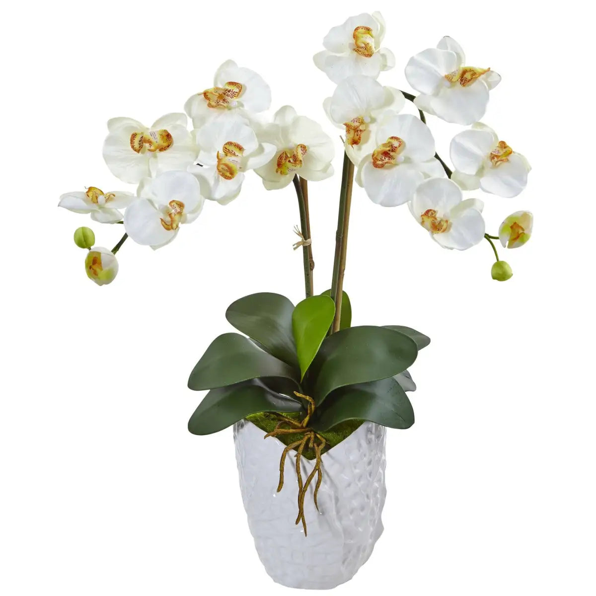 Double Phalaenopsis Orchid in White Vase - Cream - Nearly Natural