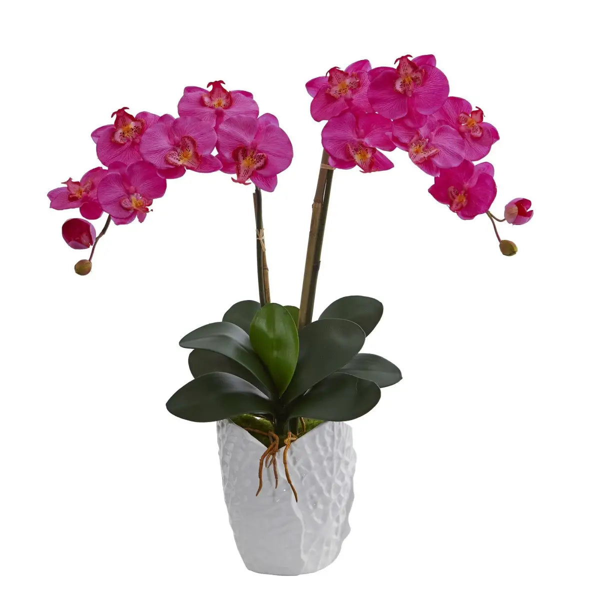 Double Phalaenopsis Orchid in White Vase - Dark Pink - Nearly Natural