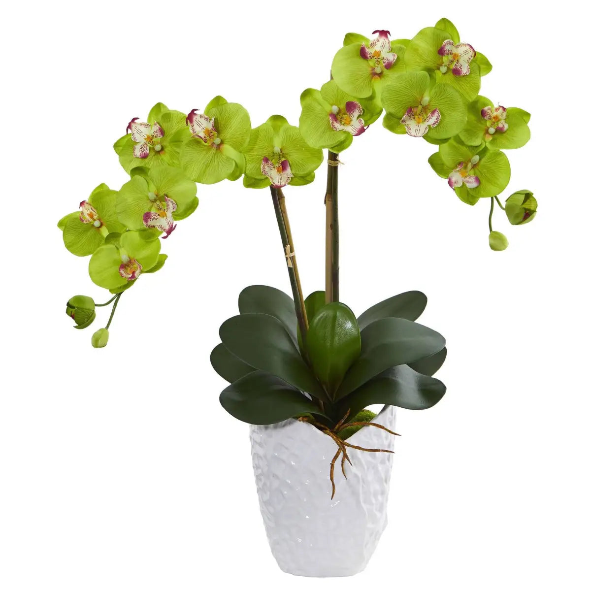 Double Phalaenopsis Orchid in White Vase - Green - Nearly Natural