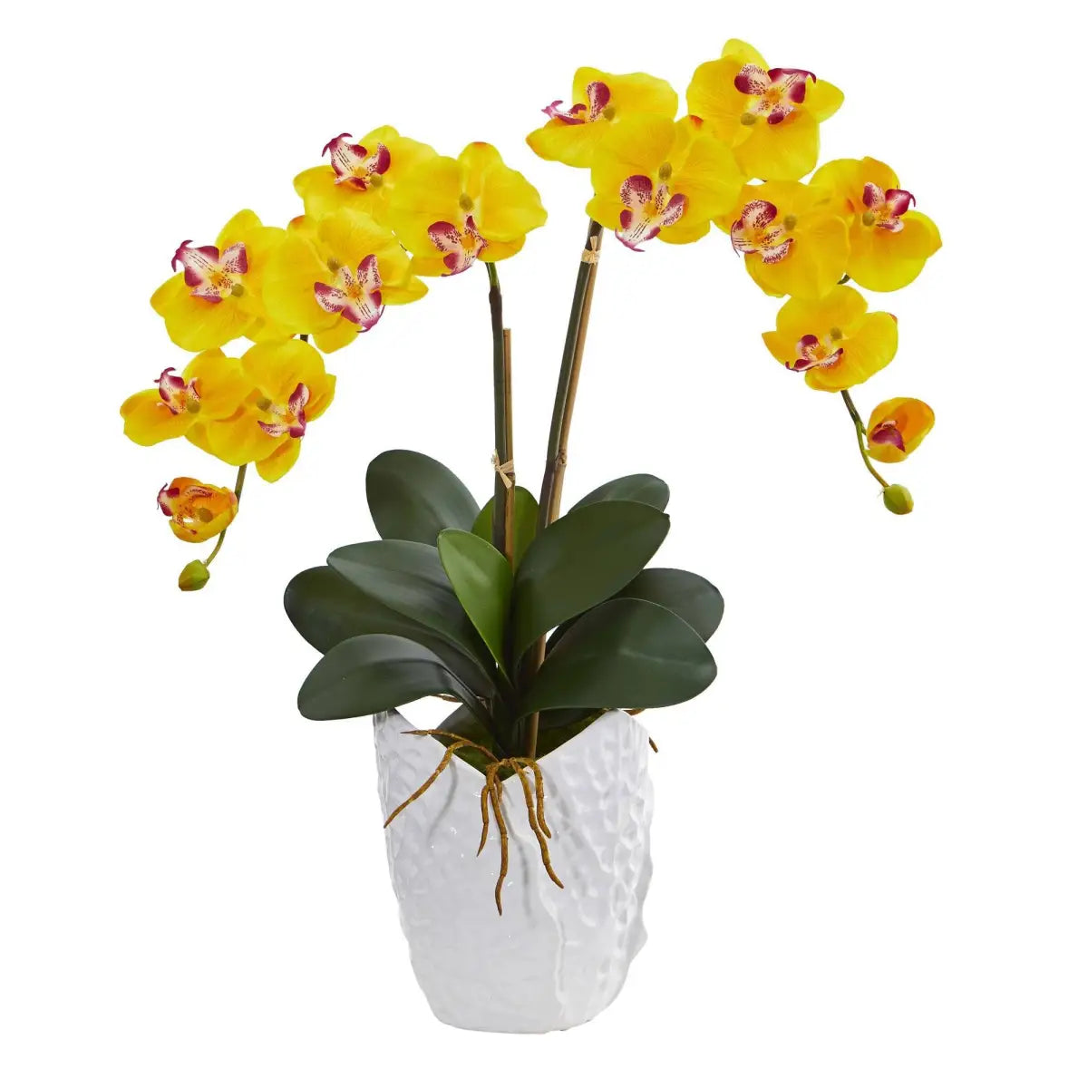 Double Phalaenopsis Orchid in White Vase - Yellow - Nearly Natural