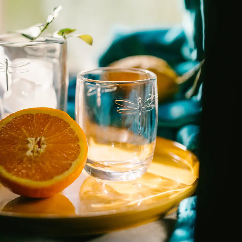 Dragonfly Tumbler Set-6 - La Rochere NA