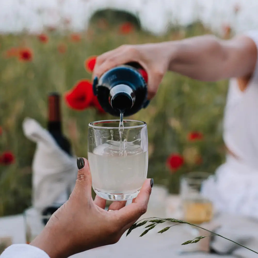 Dragonfly Tumbler Set-6 - La Rochere NA