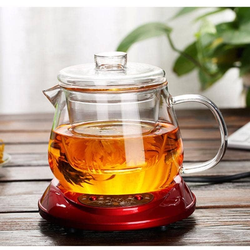 Théière en verre avec infuseur et couvercle16 oz