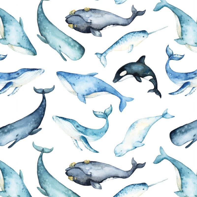Watercolor Whales Wallpaper