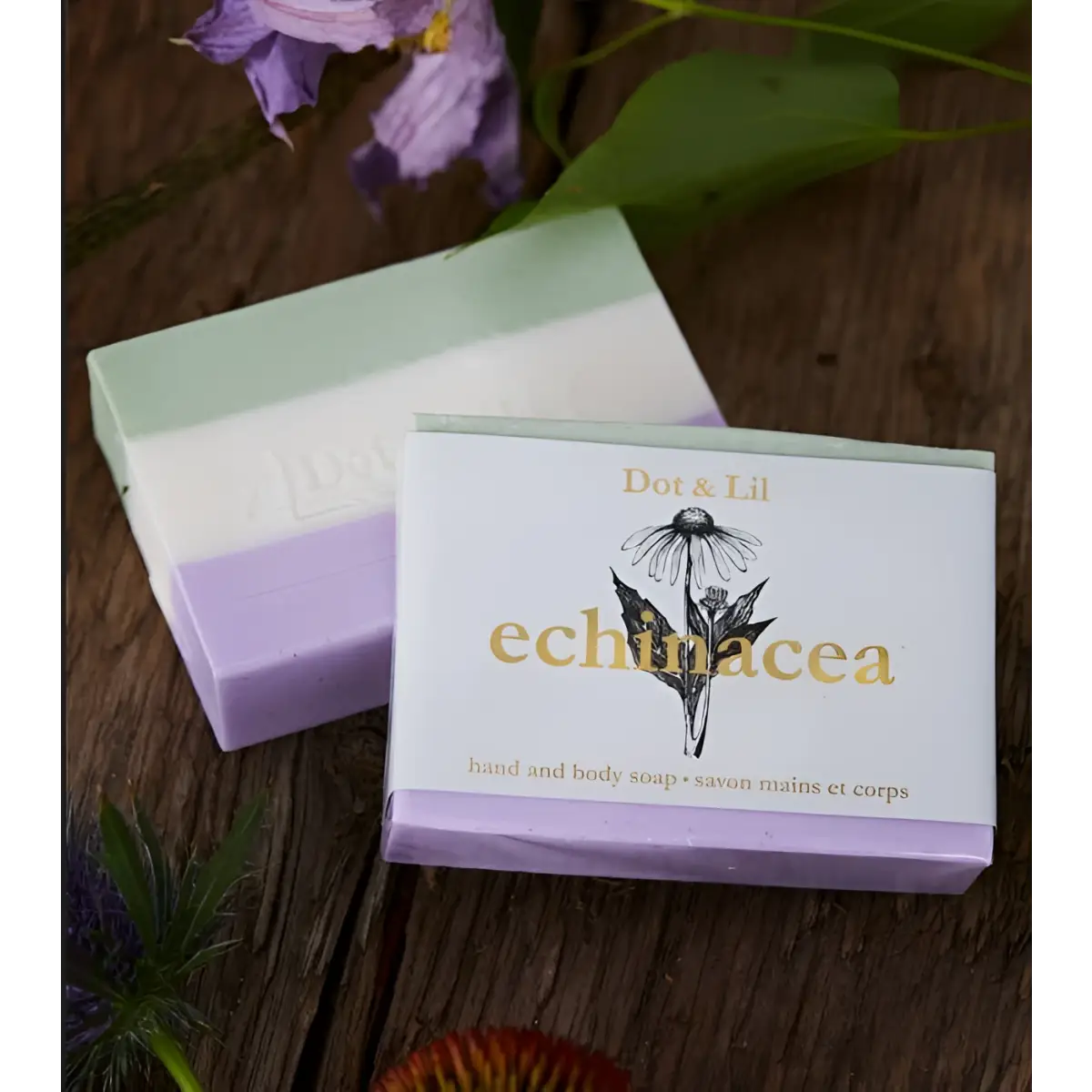 Echinacea Soap - Wildflower Collection - Dot & Lil
