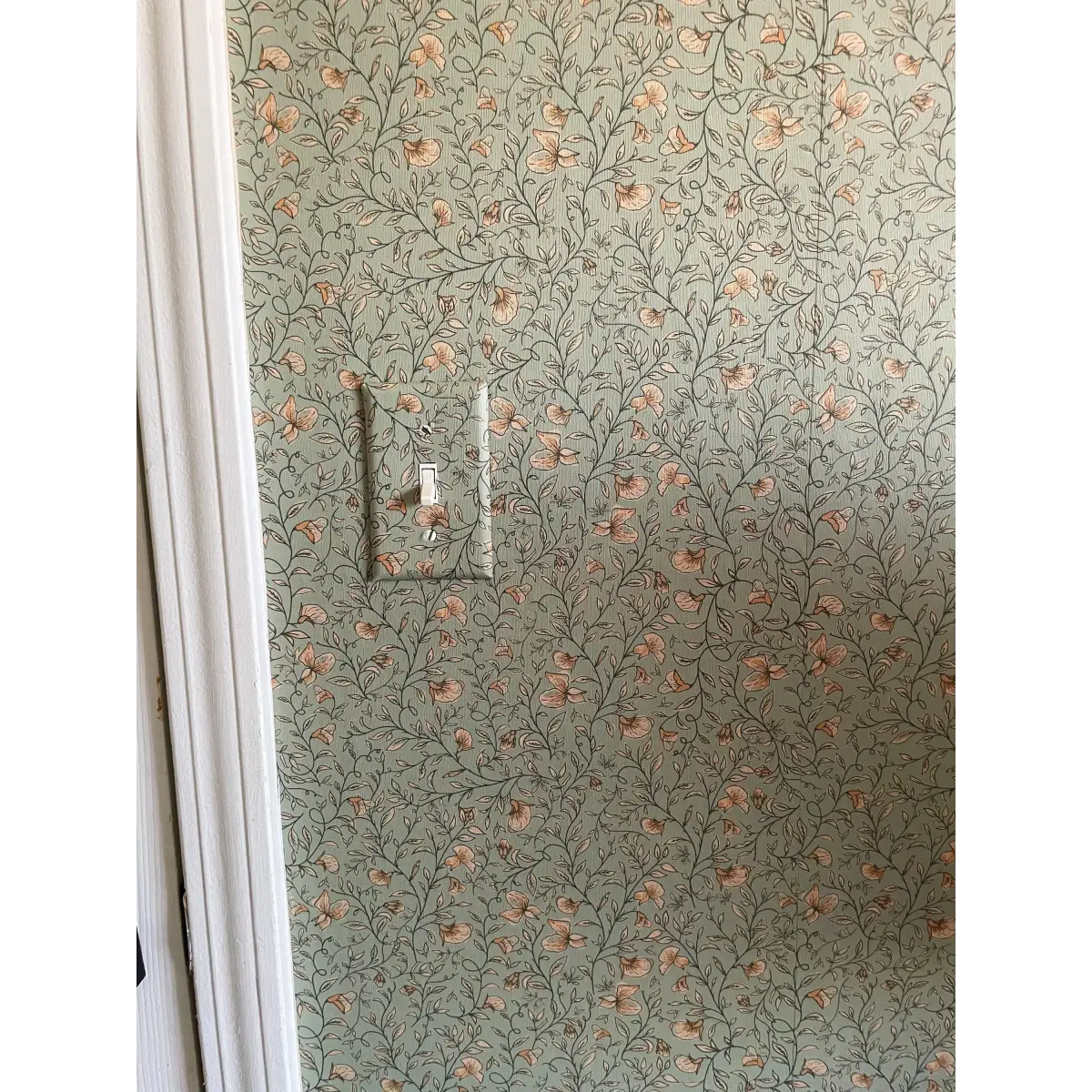 Edelweiss Wallpaper - Floral Vines - by Danelys Sidron - Loomwell Home Goods