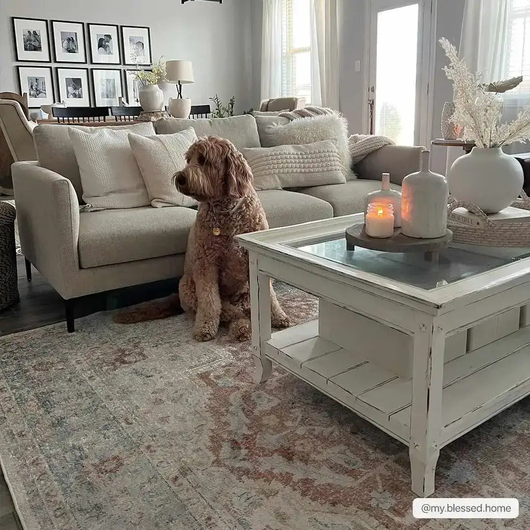 Emke Cream Washable Area Rug - Boutique Rugs