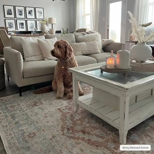 Emke Cream Washable Area Rug - Boutique Rugs