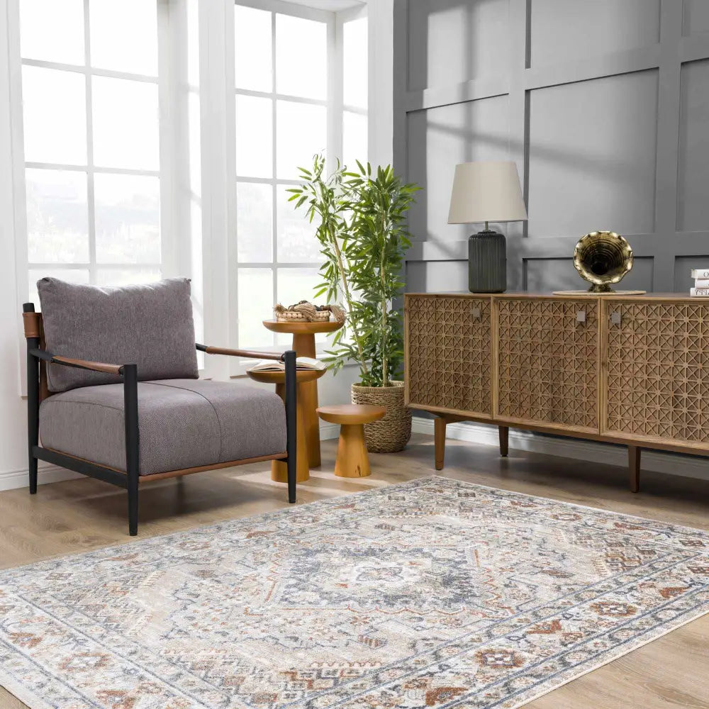 Erez Washable Area Rug - Boutique Rugs