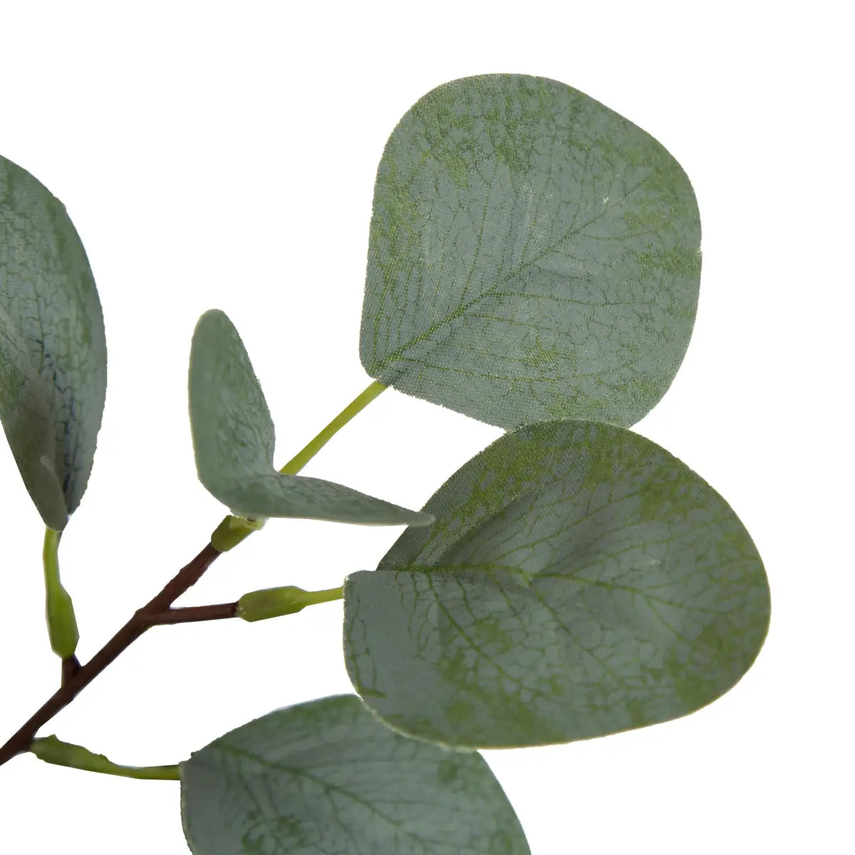 Eudora Eucalyptus Tree Decor - kateandlaurel