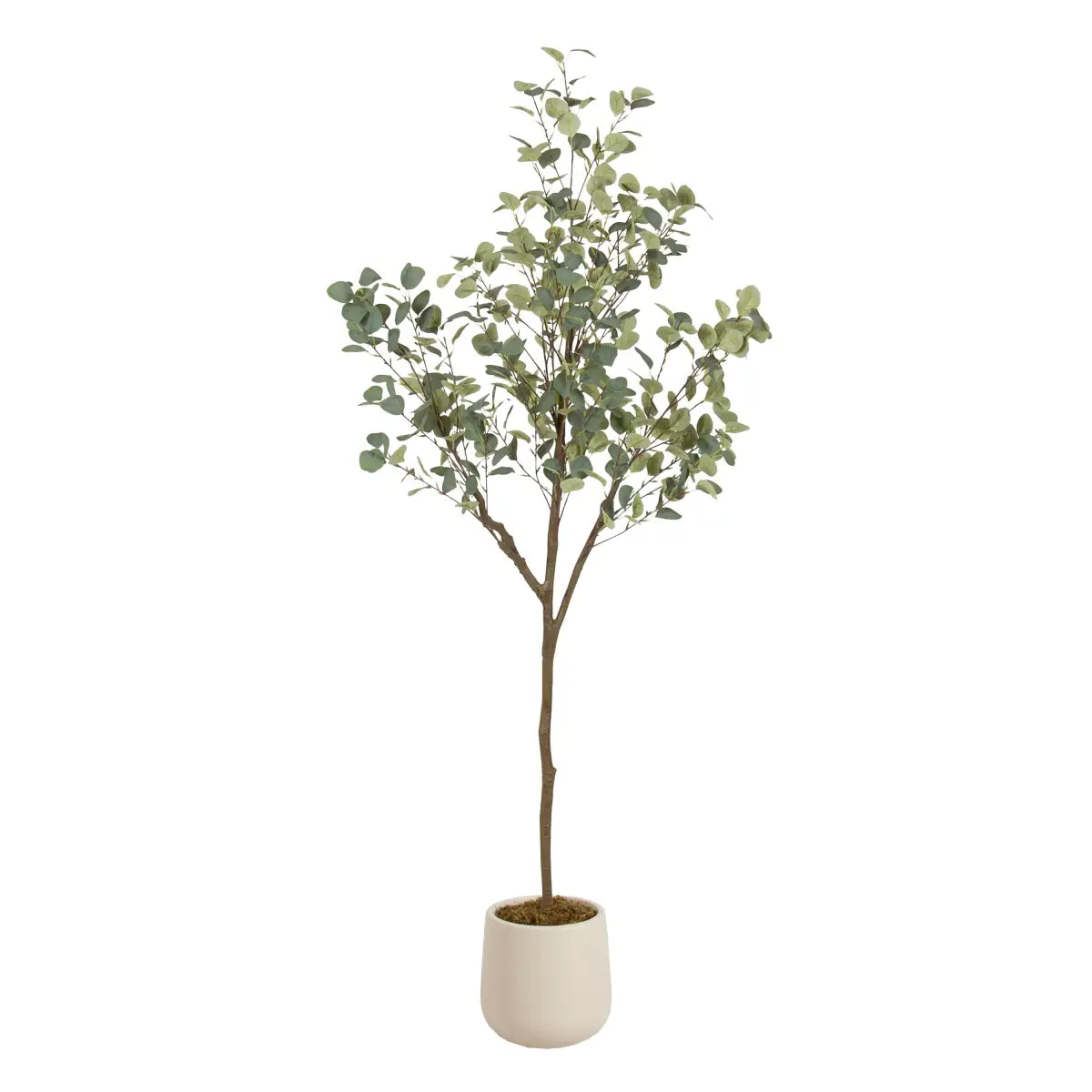 Eudora Eucalyptus Tree Decor - Cream / 6’ - kateandlaurel