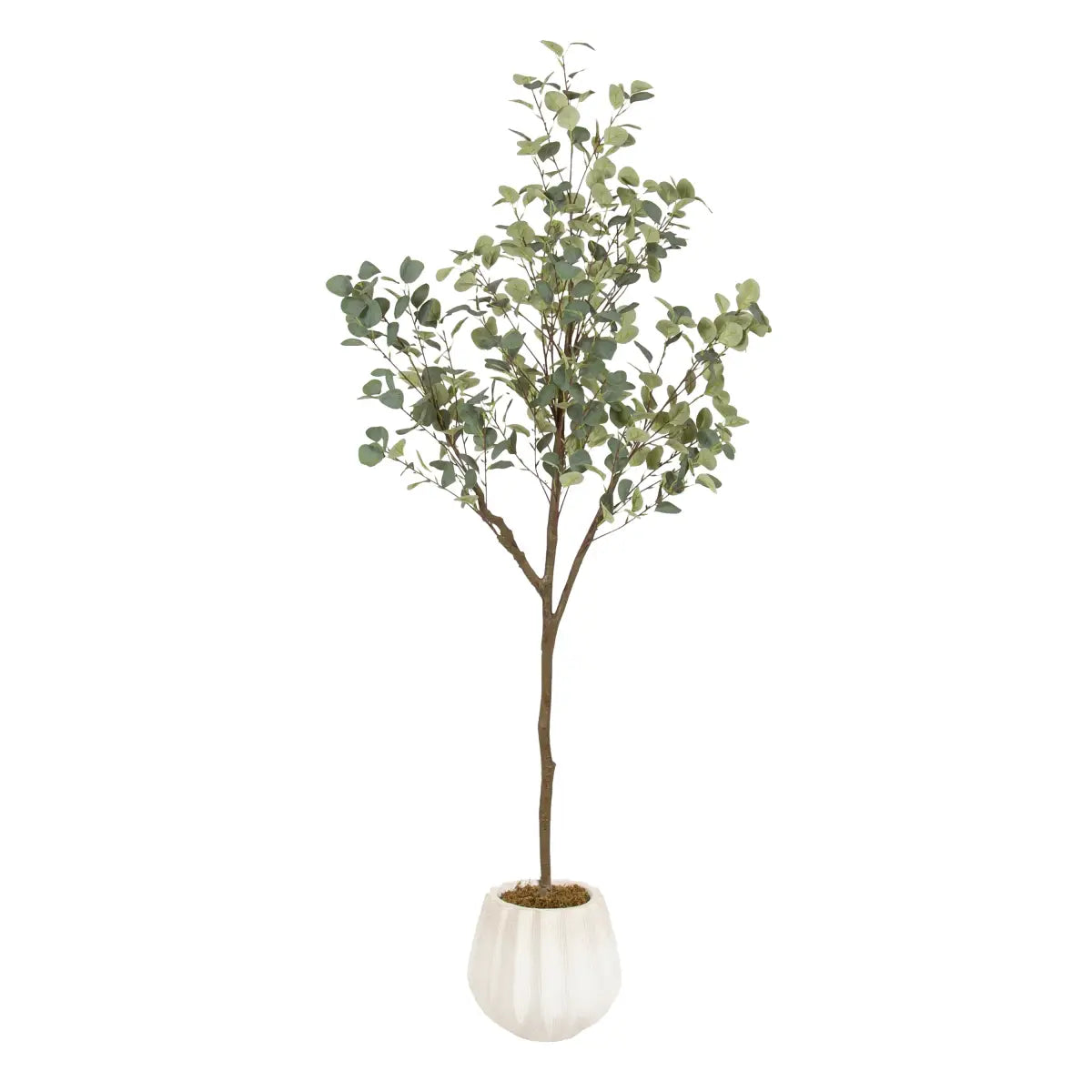 Eudora Eucalyptus Tree Decor - Distressed White / 6’ - kateandlaurel
