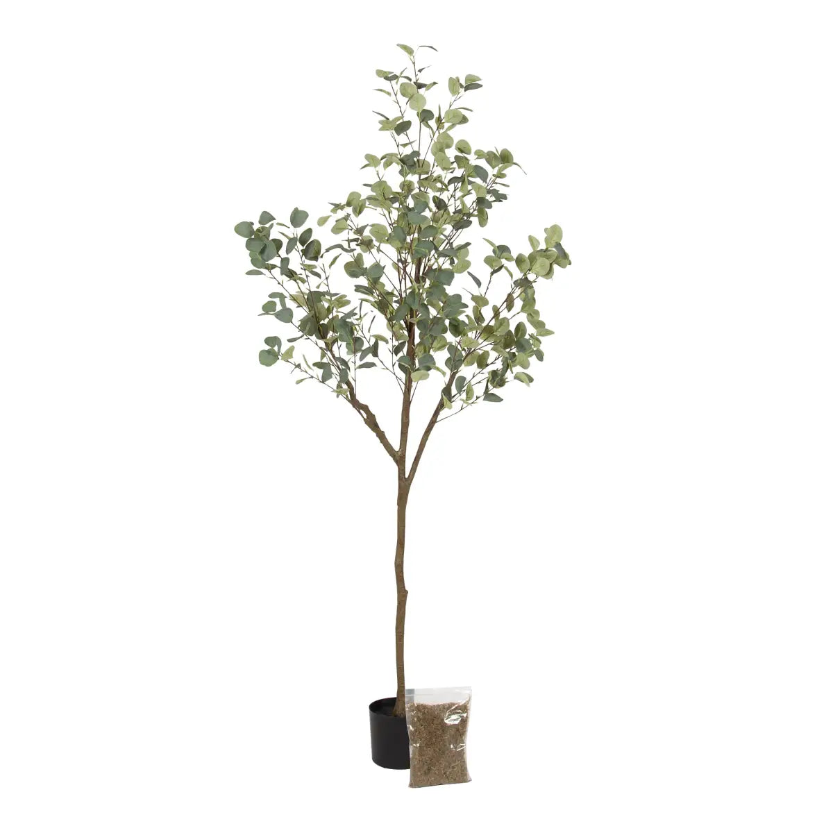 Eudora Eucalyptus Tree Decor - Green / 6’ - kateandlaurel
