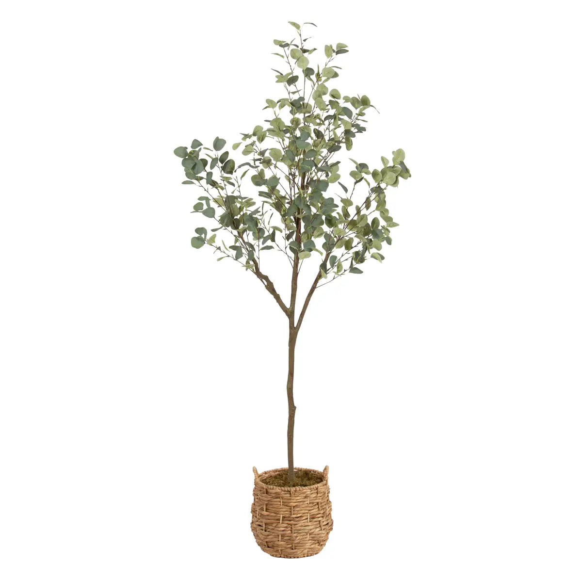 Eudora Eucalyptus Tree Decor - Natural / 6’ - kateandlaurel