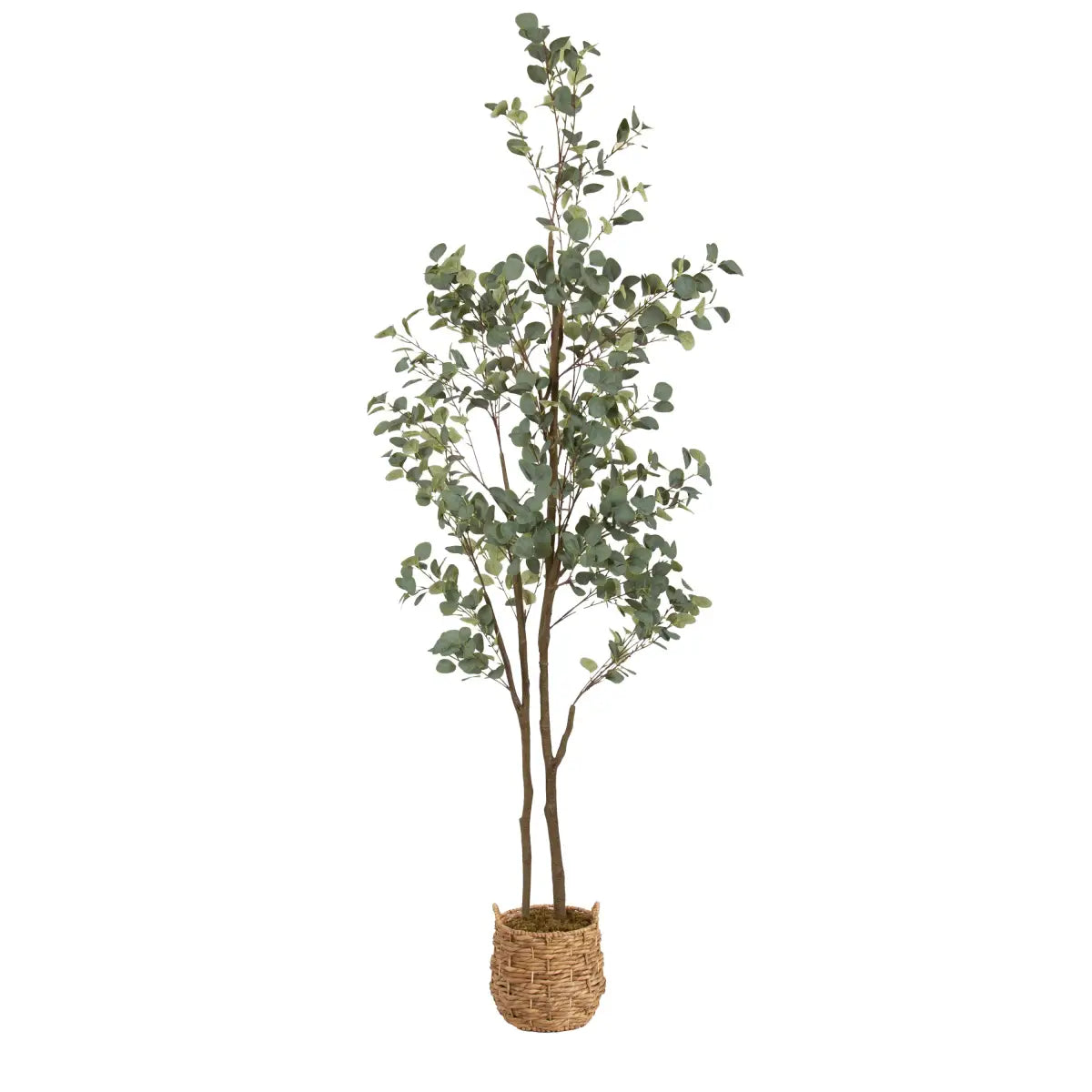 Eudora Eucalyptus Tree Decor - Natural / 8’ - kateandlaurel