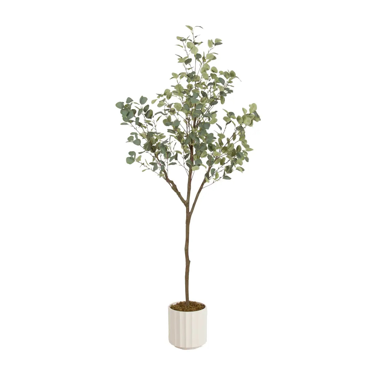 Eudora Eucalyptus Tree Decor - White / 6’ - kateandlaurel