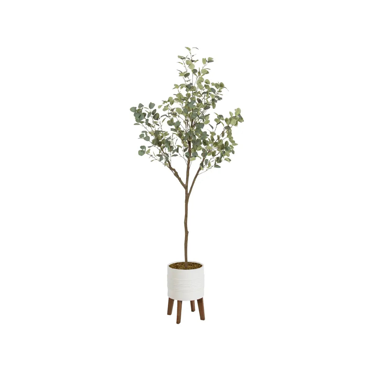 Eudora Eucalyptus Tree Decor - White/Rustic Brown / 6.5’ - kateandlaurel