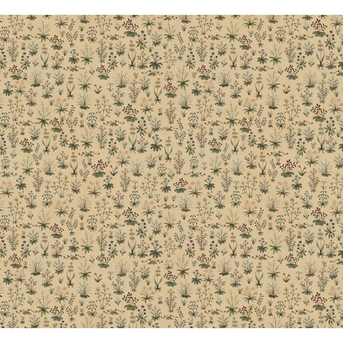 Evelyn Wallpaper - Little Flower Sprigs - by Karin Beatrice Levin - Sample 1 foot by 1 foot / Beige - Loomwell Home