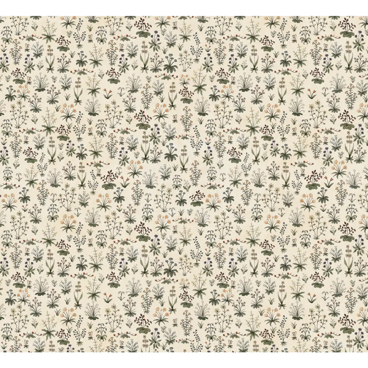Evelyn Wallpaper - Little Flower Sprigs - by Karin Beatrice Levin - Sample 1 foot by 1 foot / White - Loomwell Home