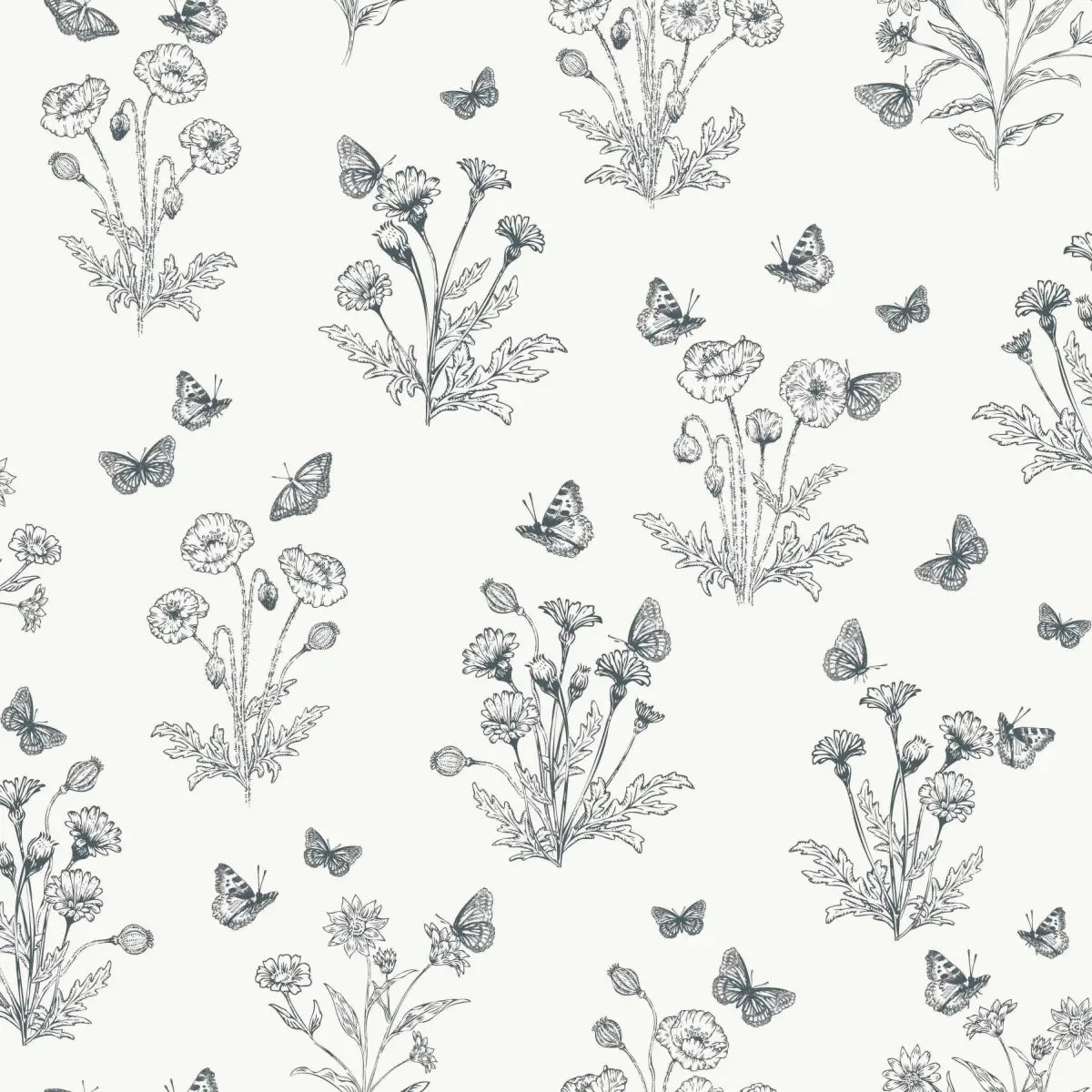 Ever Wallpaper - Poppies and Butterflies - by Anna Black Creative - Sample 1 foot by 1 foot / Dark Grey - Loomwell Home