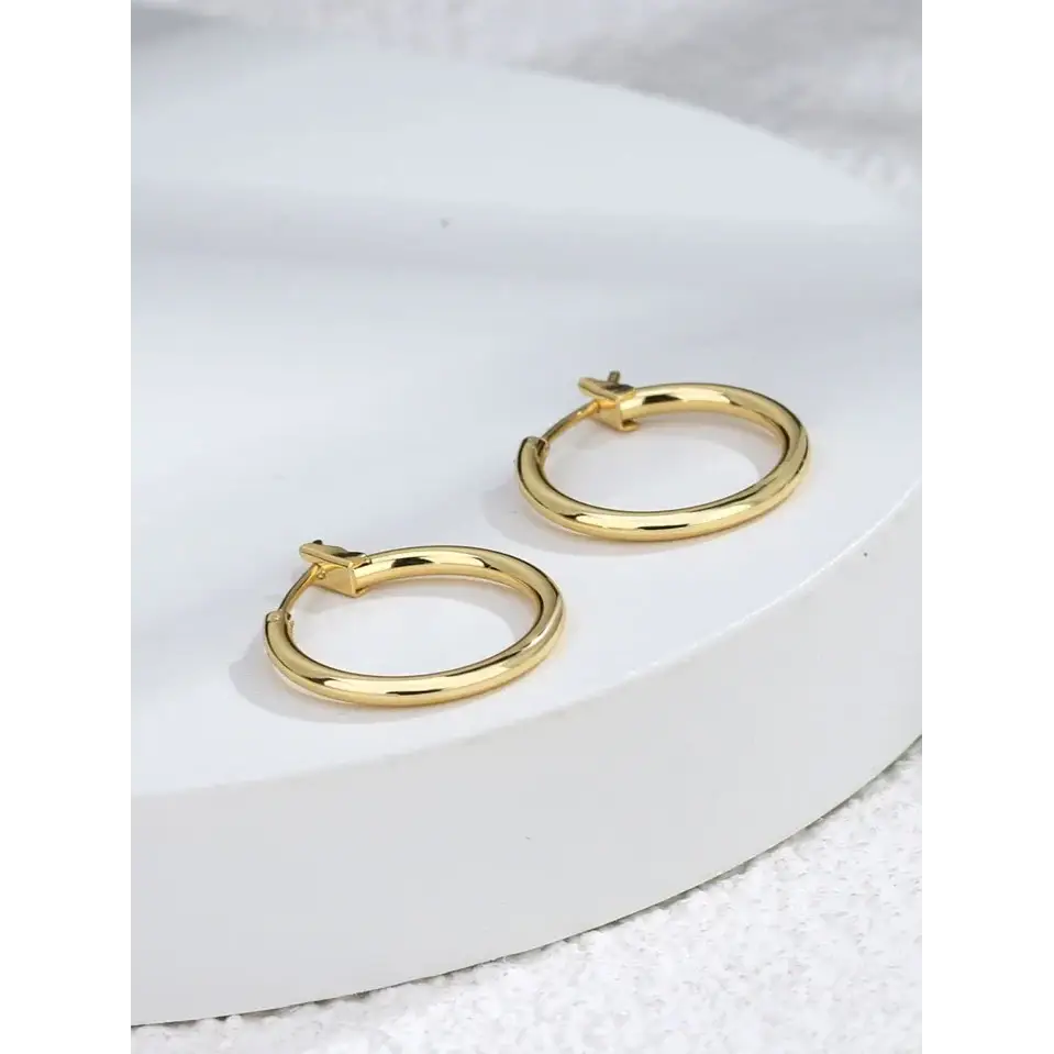 Everyday Hoop Earrings - Gold or Silver - Rooted Home Goods