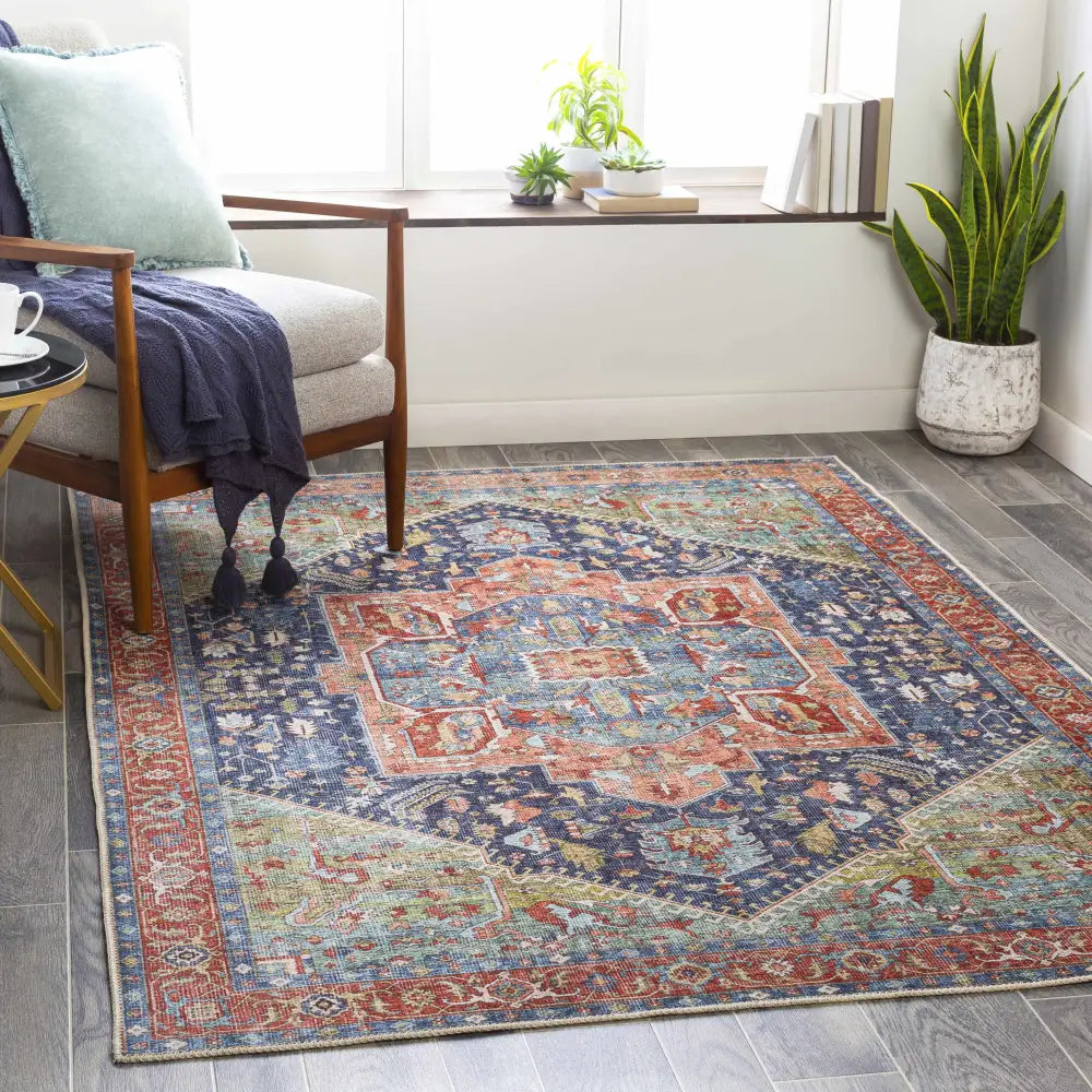 Exira Washable Area Rug - Clearance - Boutique Rugs