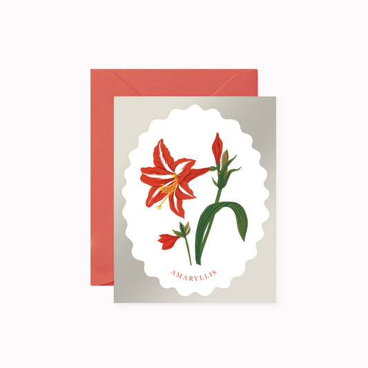 Christmas Card - Amaryllis - Botanica Paper Co.