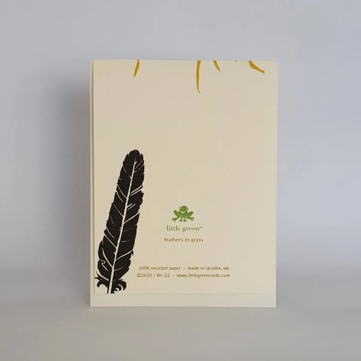Fall Blank Greeting Card - Raven Feathers in Grass - Little Green