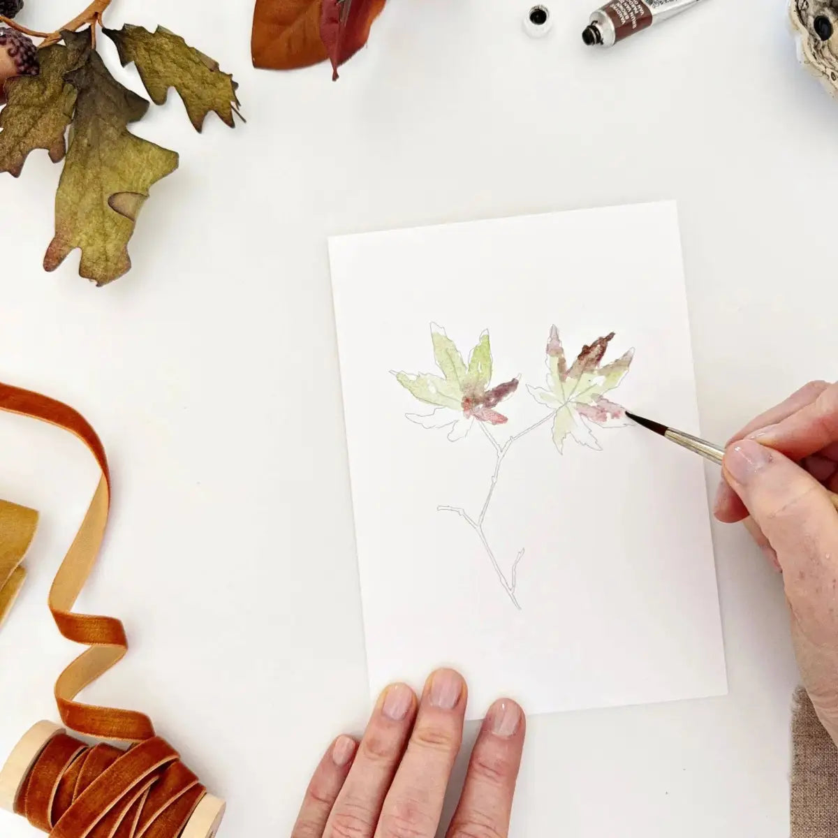 Watercolor Notecard Set - Fall Leaves - Paintable - emily lex studio