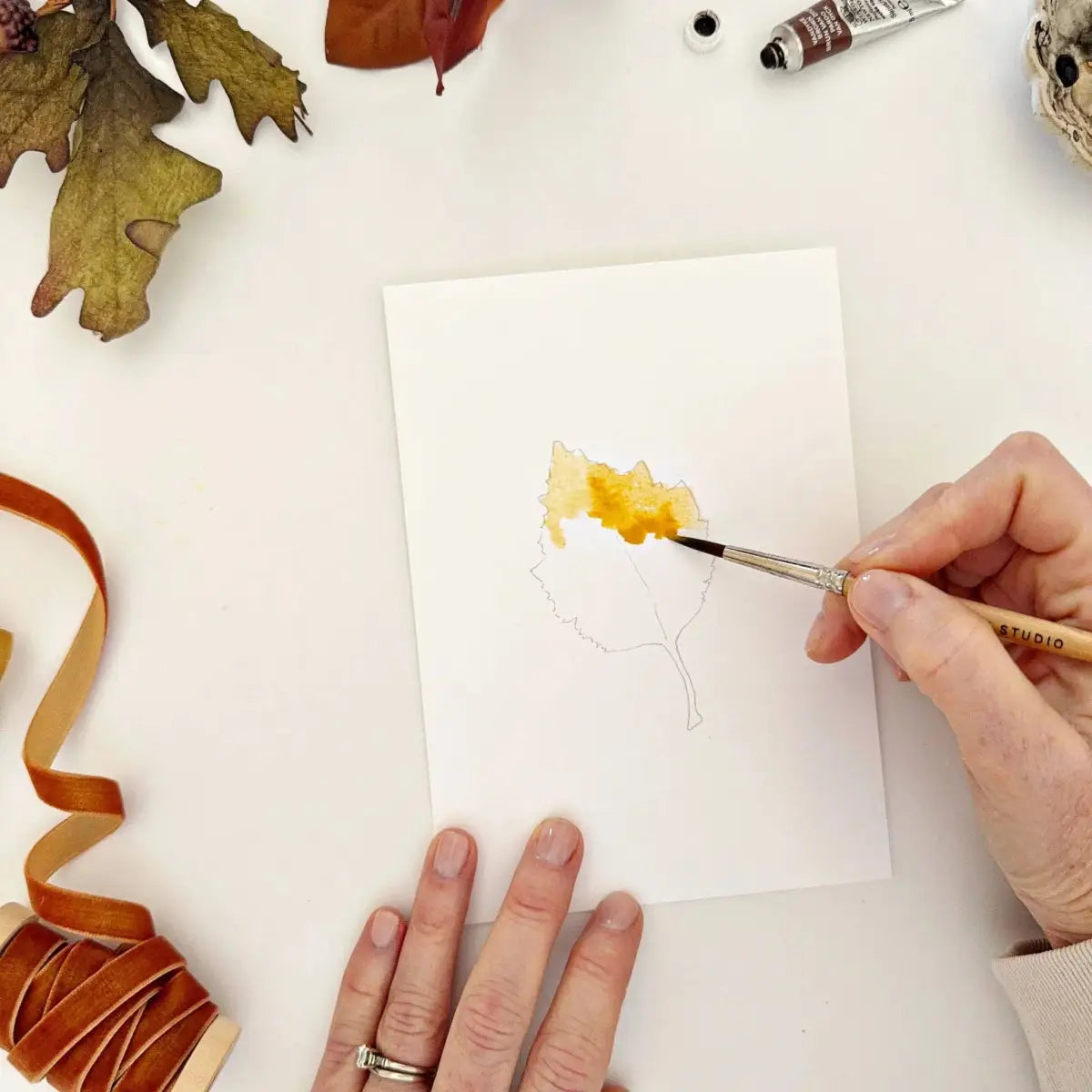 Watercolor Notecard Set - Fall Leaves - Paintable - emily lex studio
