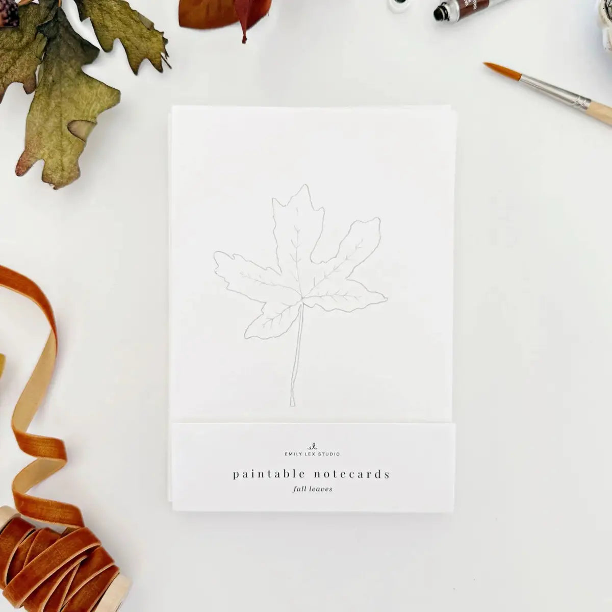 Watercolor Notecard Set - Fall Leaves - Paintable - emily lex studio