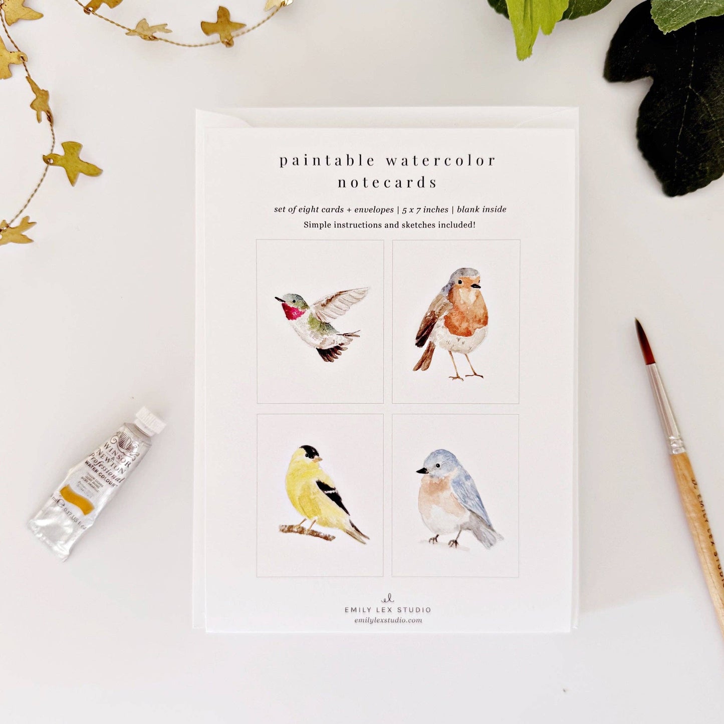 Backyard Birds Paintable Notecards - emily lex studio