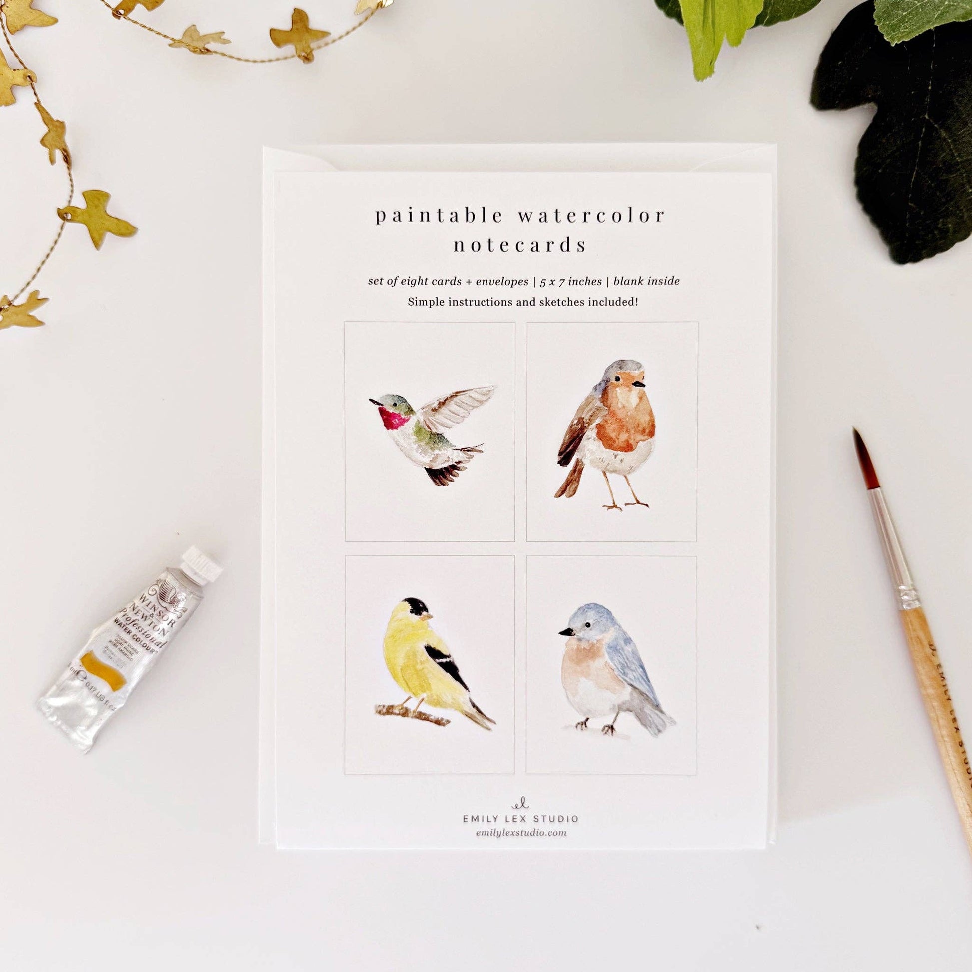 Backyard Birds Paintable Notecards - emily lex studio
