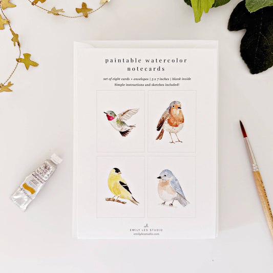Backyard Birds Paintable Notecards - emily lex studio