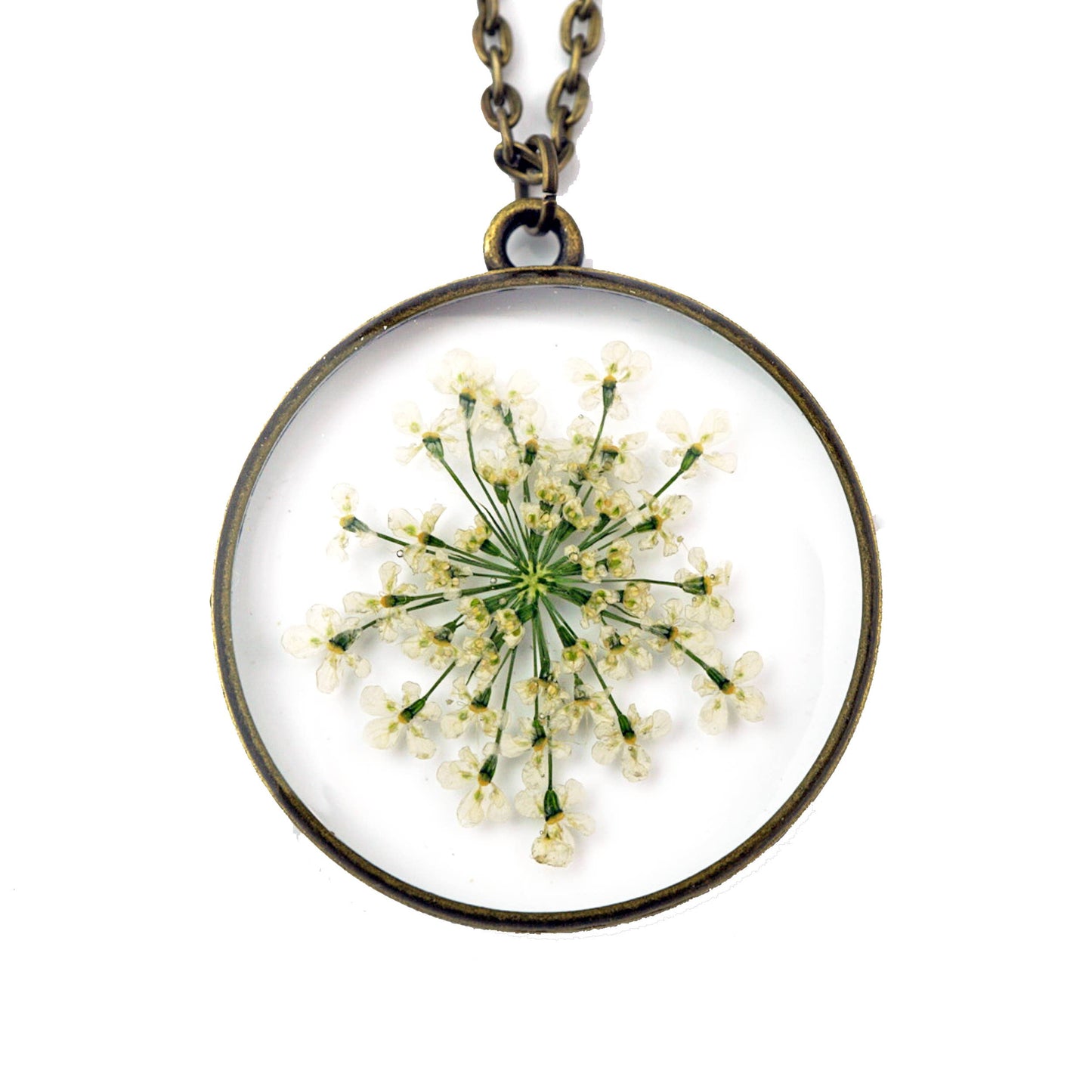 Collier en dentelle de la reine Anne, fleur pressée