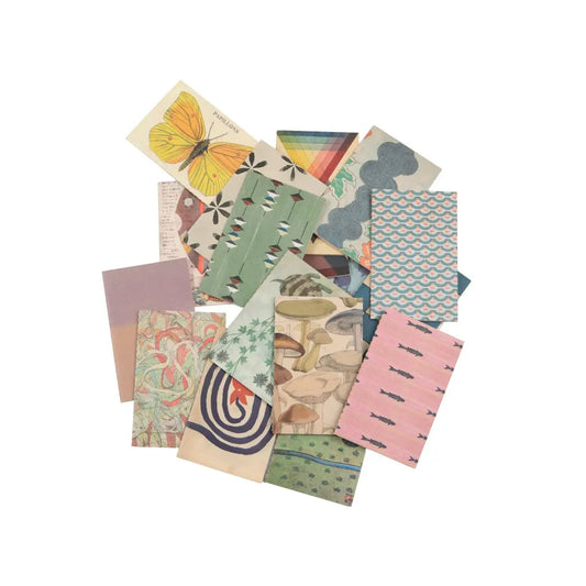 Field Journal - Individual Notebook - Sugarboo &
