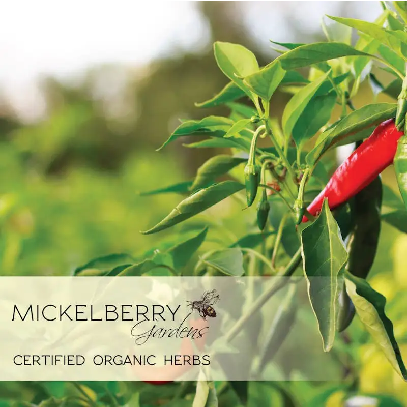Herbal Honey Tonic - Fire Cider - Wellness - Mickelberry Gardens