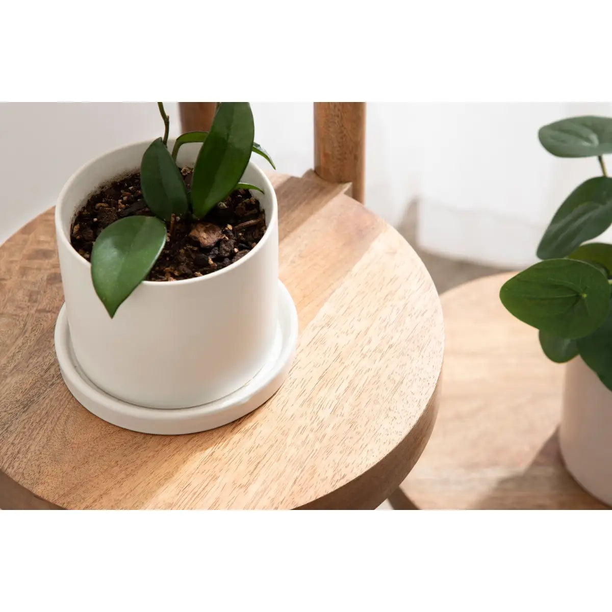 Fitley Wooden Plant Stand - 3 Tiers - kateandlaurel