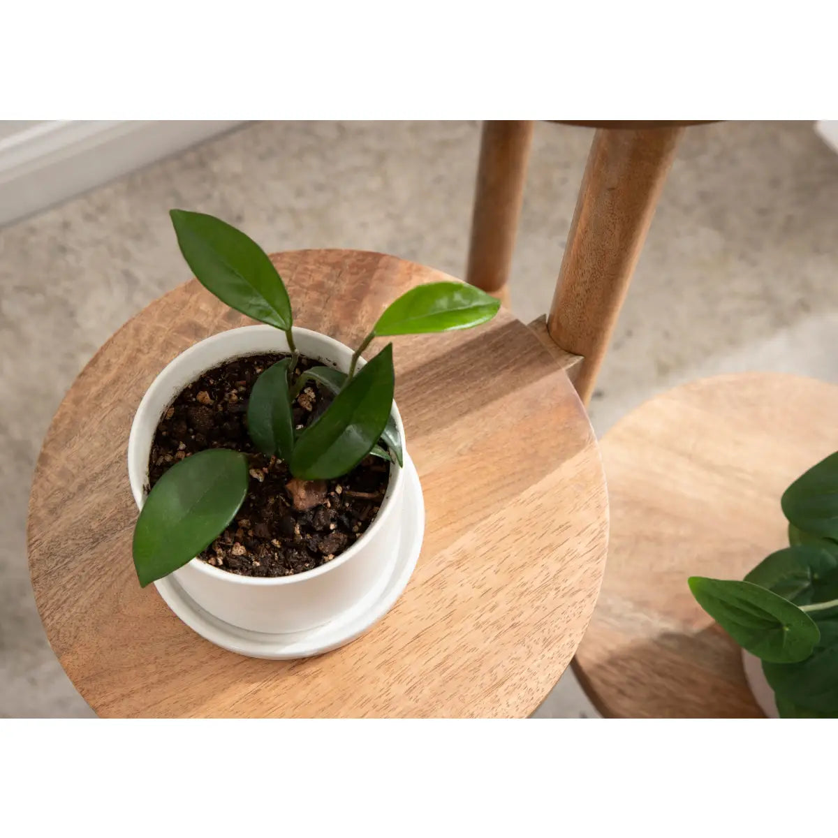 Fitley Wooden Plant Stand - 3 Tiers - kateandlaurel
