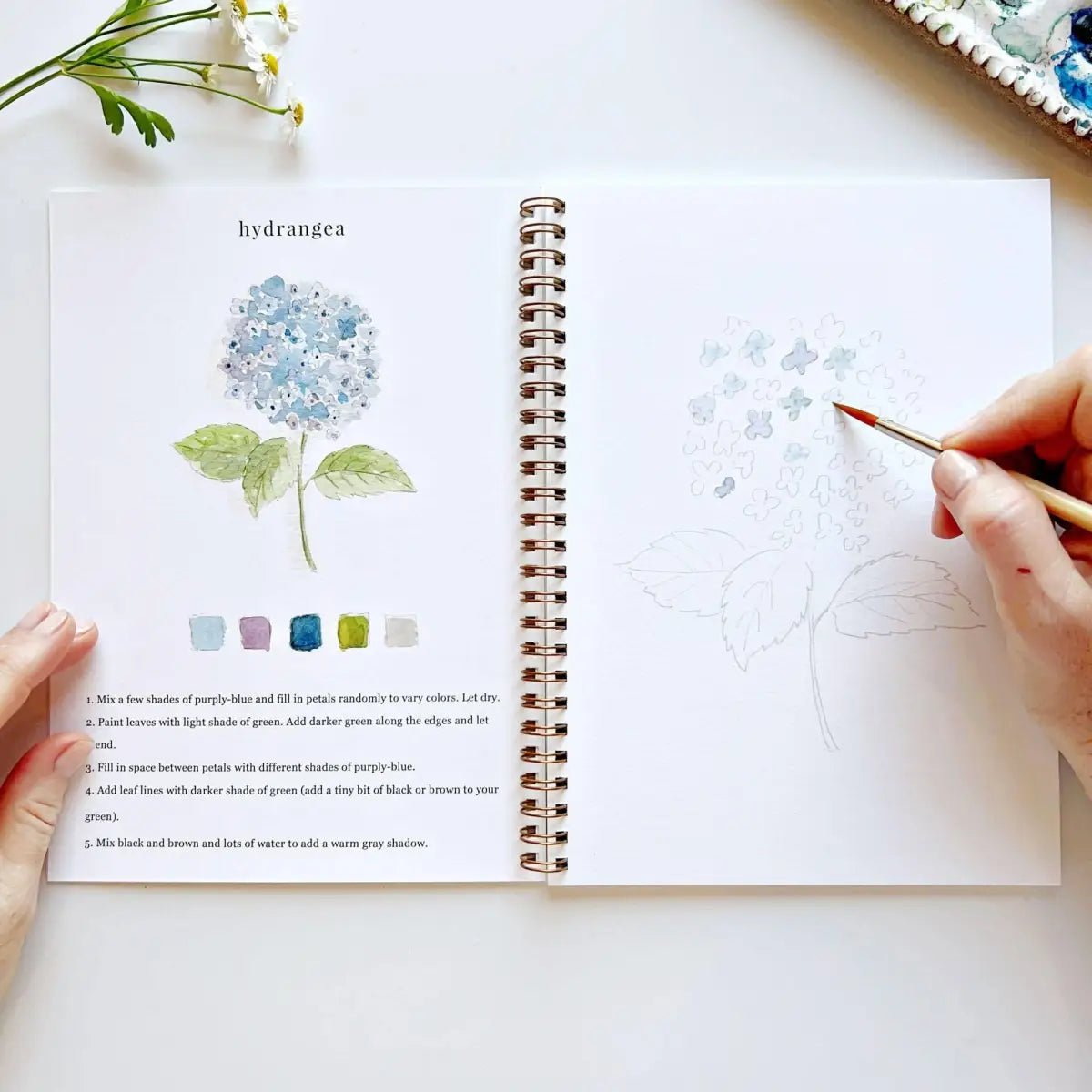 Watercolor Workbook - Flowers - Emily Lex - emily lex studio