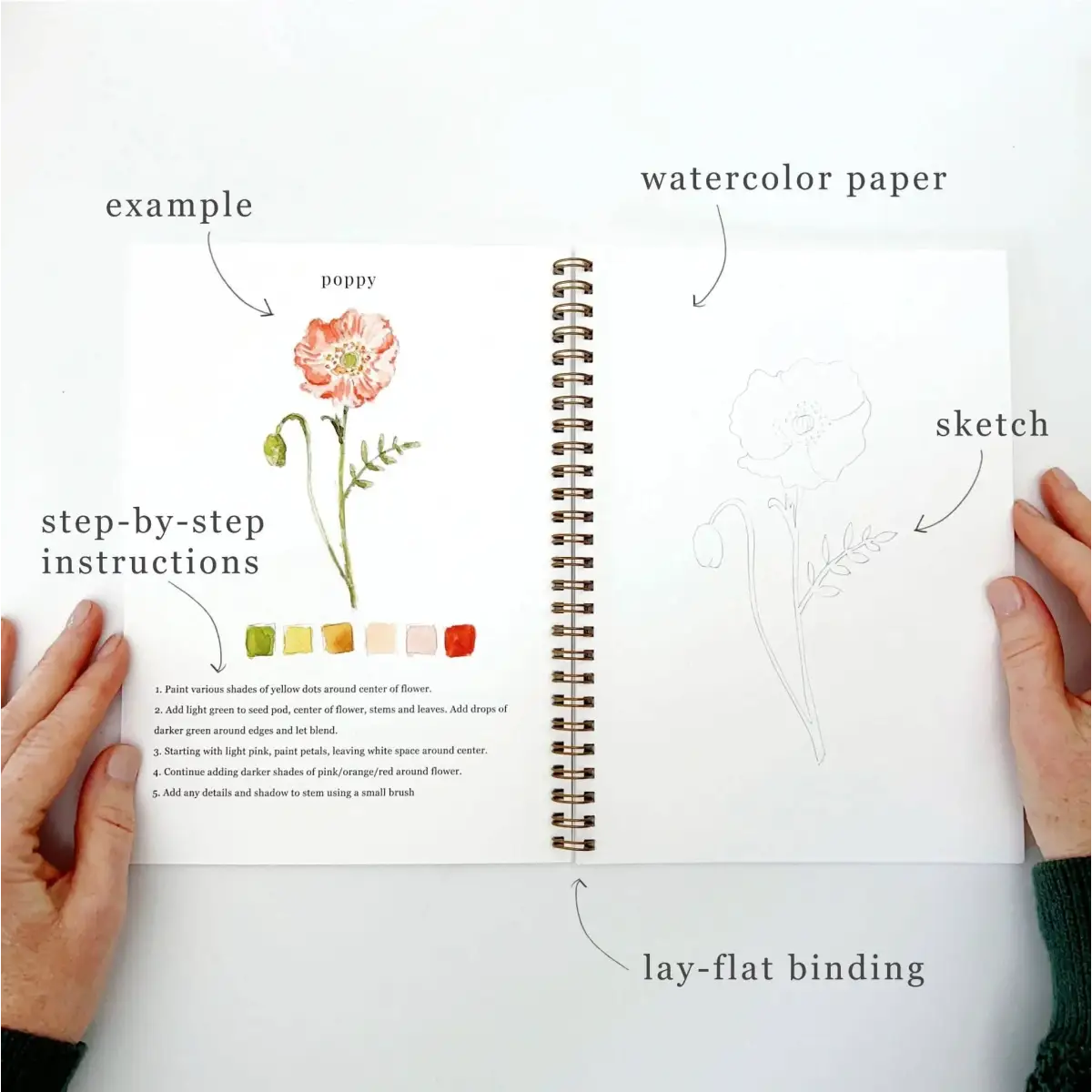 Watercolor Workbook - Flowers - Emily Lex - emily lex studio