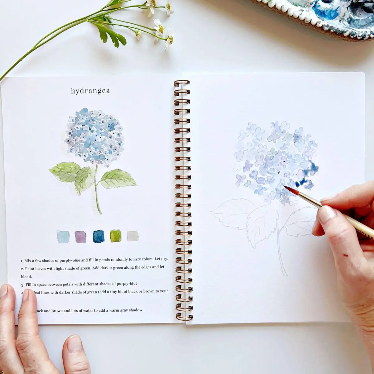 Watercolor Workbook - Flowers - Emily Lex - emily lex studio