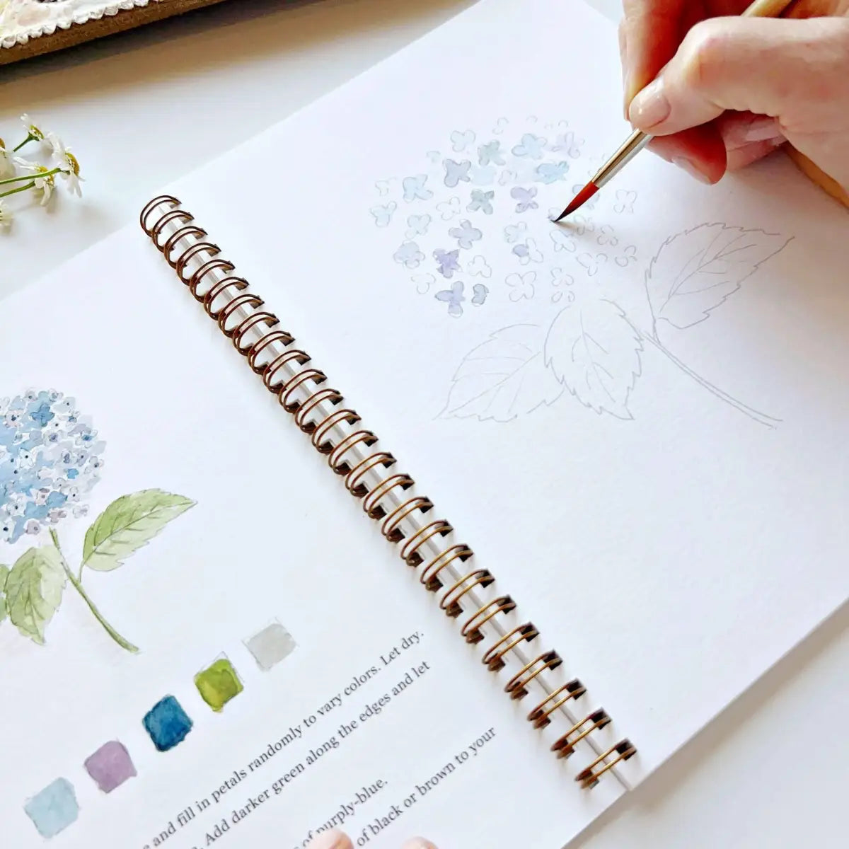 Watercolor Workbook - Flowers - Emily Lex - emily lex studio