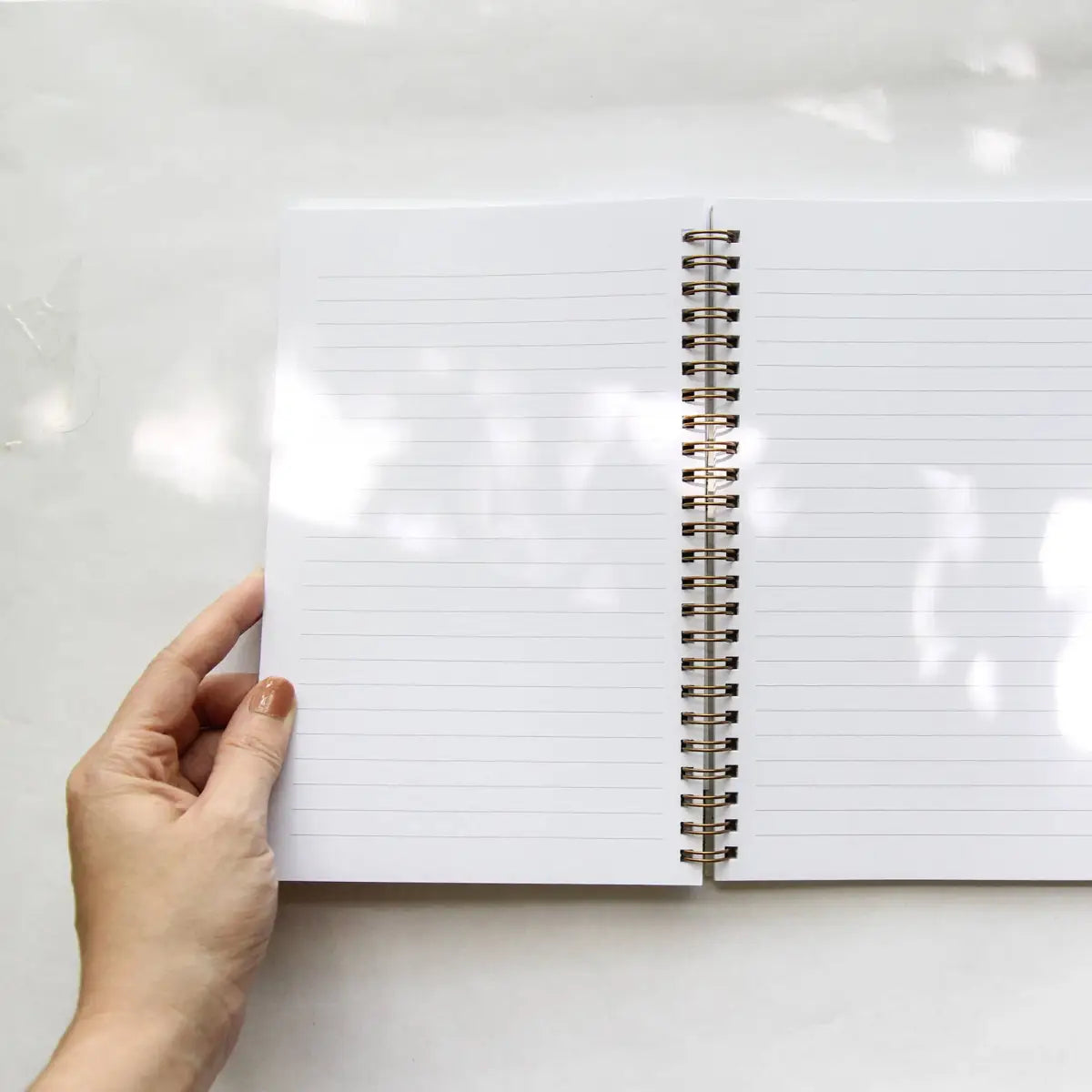 Notebook - Forest Fern - Spiral Bound - Root & Branch Paper Co.