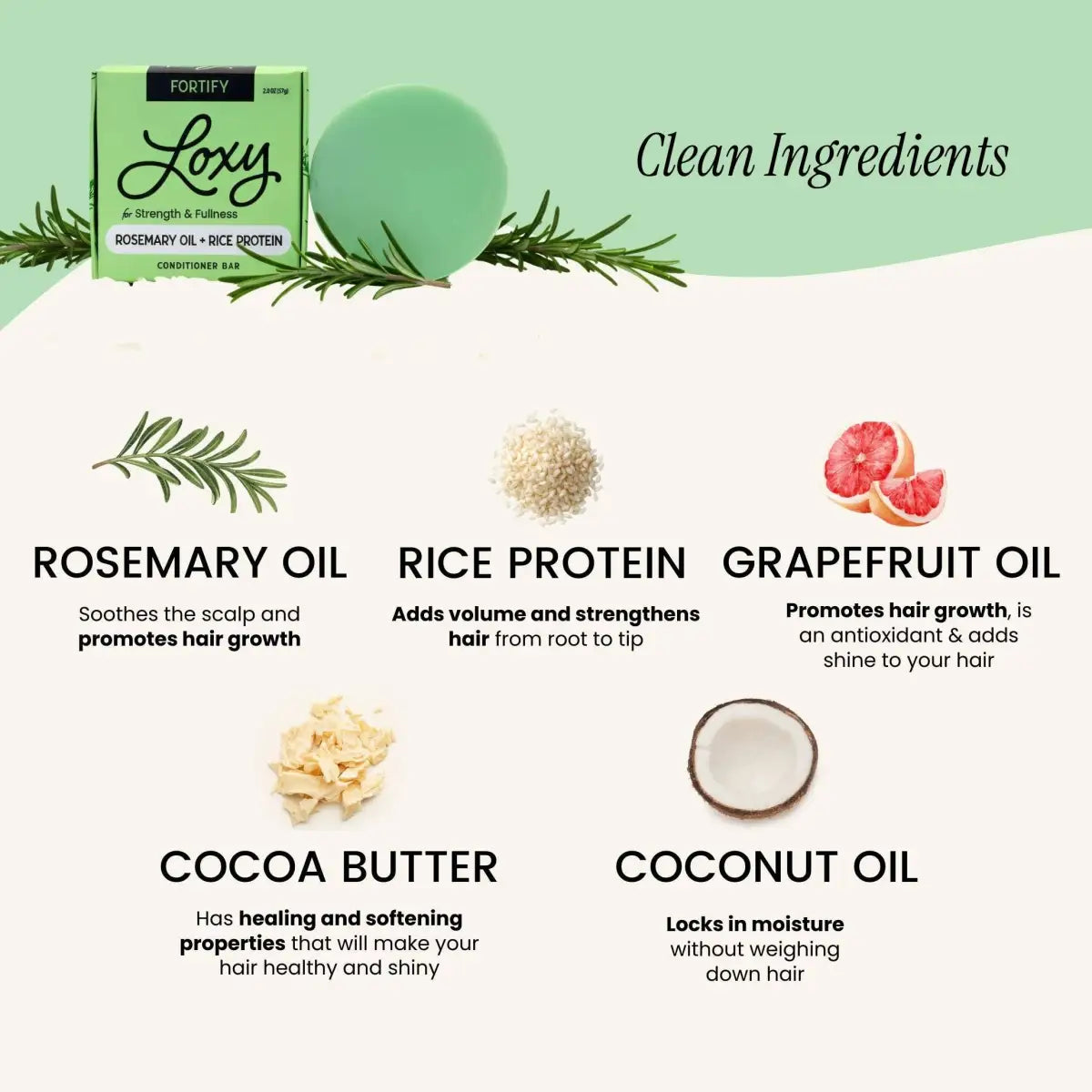 Conditioner Bar - FORTIFY for Volume and Strength with Rosemary Oil - Loxy