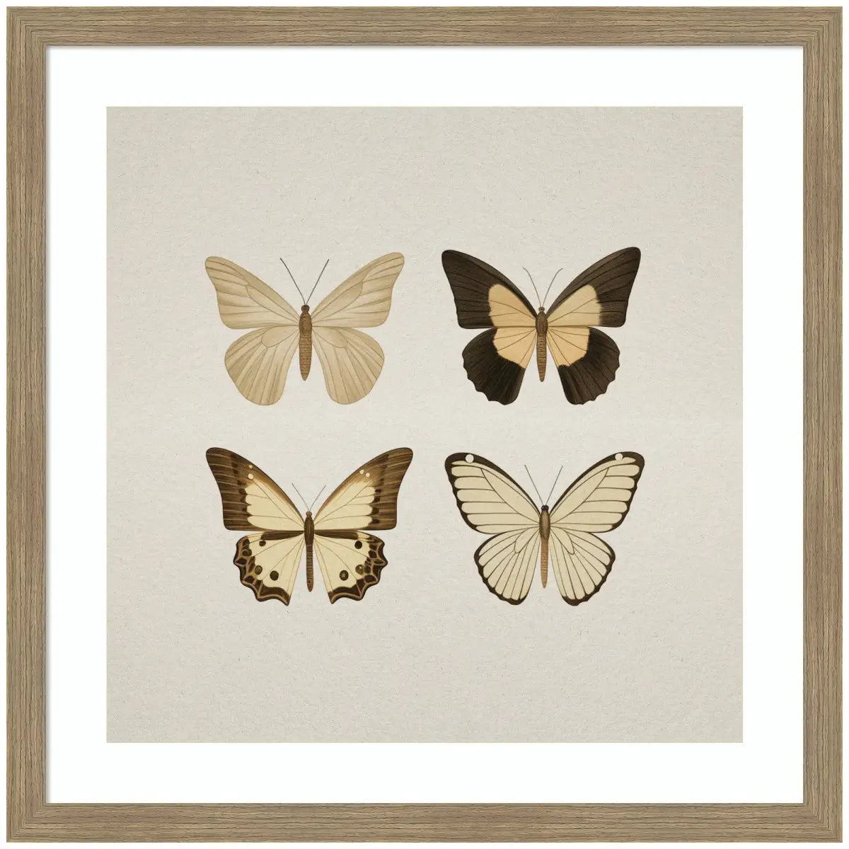 Framed Art - Vintage Style Butterflies in Neutral Tones - 26x26 - kateandlaurel