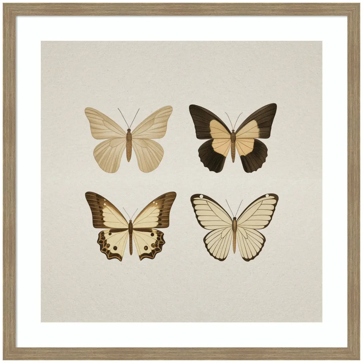 Framed Art - Vintage Style Butterflies in Neutral Tones - 34x34 - kateandlaurel